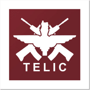 Parachute Regiment Op Telic Posters and Art